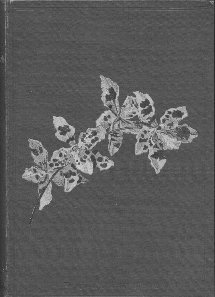 Scan of Stein's Orchideenbuch: Beschreibung, Abbildung und Kulturanweisung (please note that pages 124-127 are missing from this copy), 1 of 619
