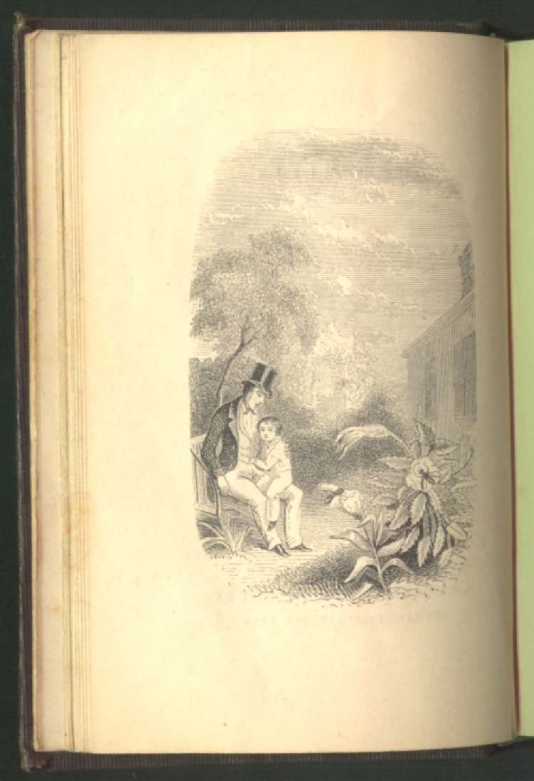 Scan of The Bee-Hive, 1 of 16