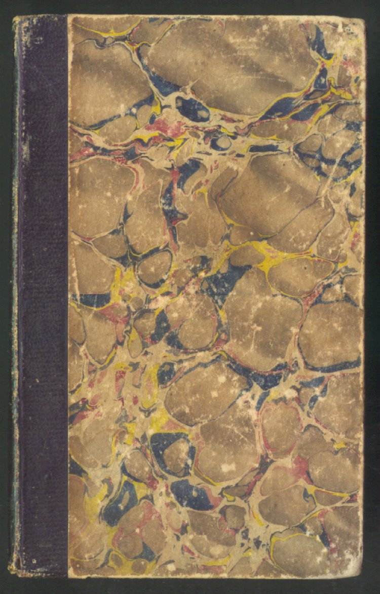 Scan of Biography of Two Little Children, 1 of 20