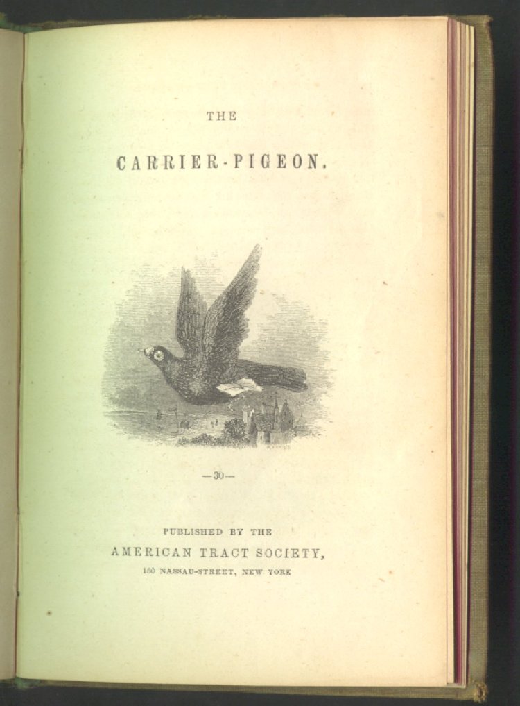 DMC Collection Detail MSU Libraries