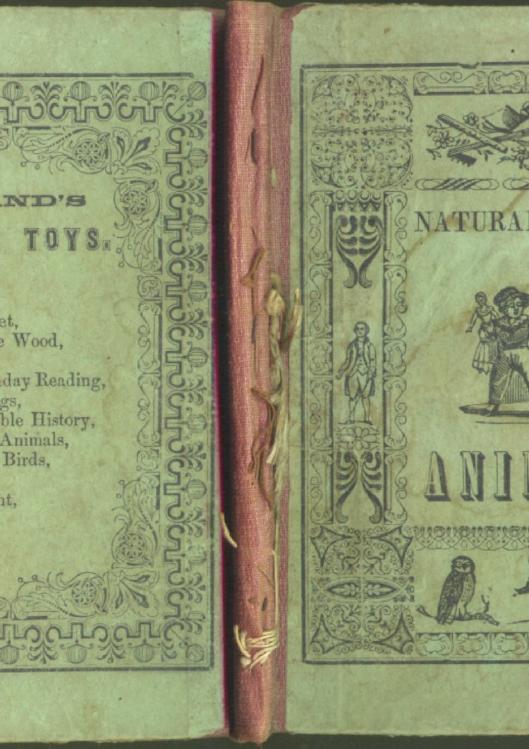 Scan of Child's Own Book of Natural History, 1 of 72