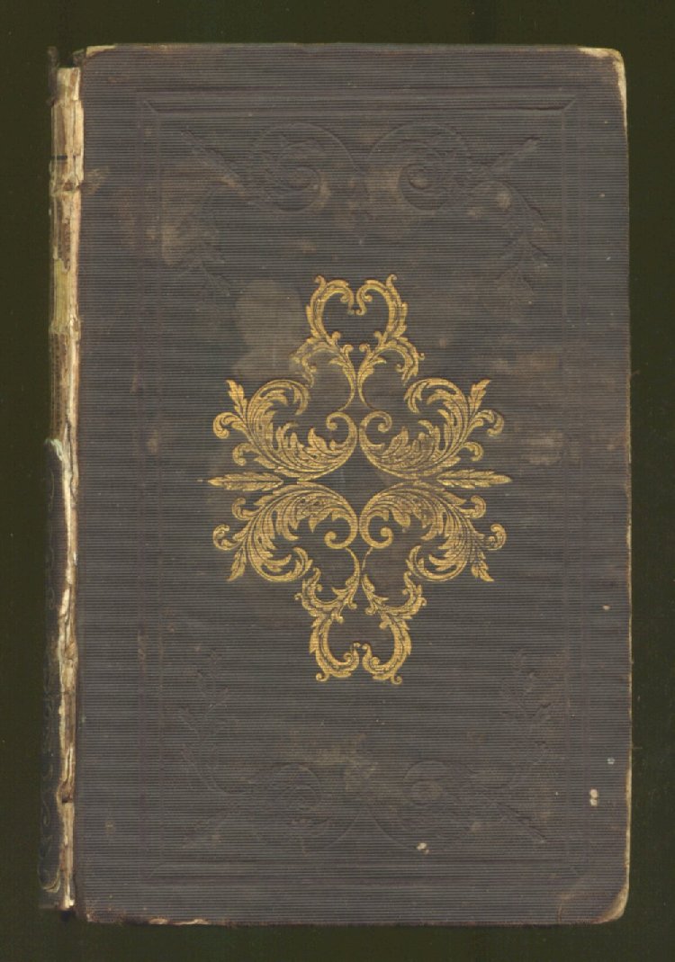 Scan of The Factory Girl: or, Gardez la Coeur, 1 of 172