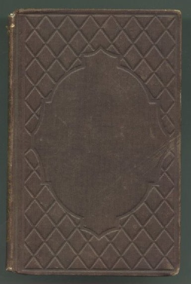 Scan of First Flight From the Nest; or, Nellie's Six Months in Boston, 1 of 89