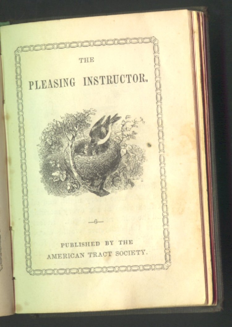 Scan of The Pleasing Instructor, 1 of 16