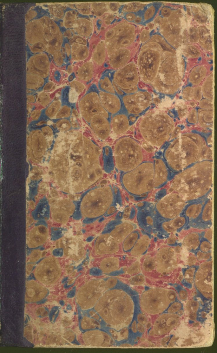 Scan of The Poor-House; or, Who Maketh us to Differ?, 1 of 52