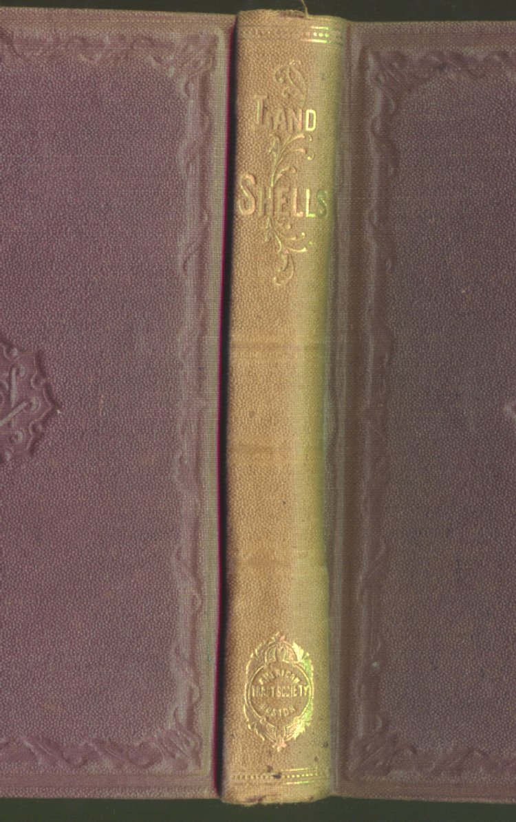 Scan of Rambles After Land Shells, 1 of 178