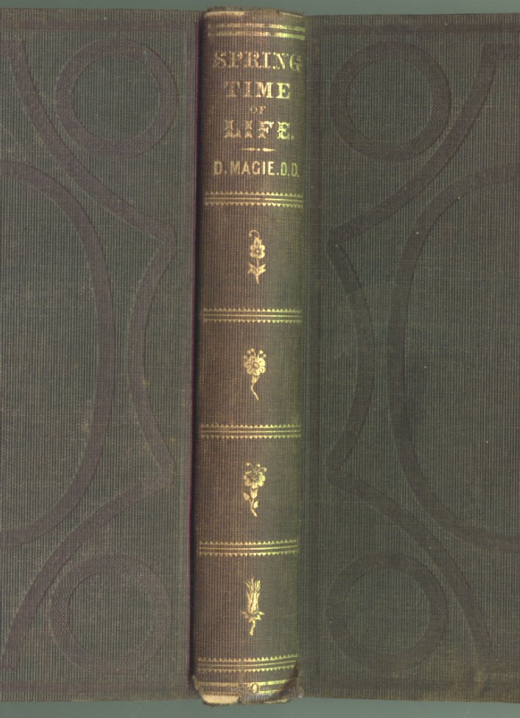 Scan of The Spring-Time of Life; or, Advice to Youth, 1 of 353