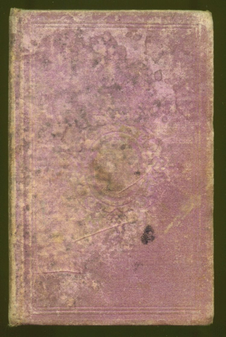 Scan of Talks with Amy Dudley; or, What Makes Me Grow?, 1 of 125