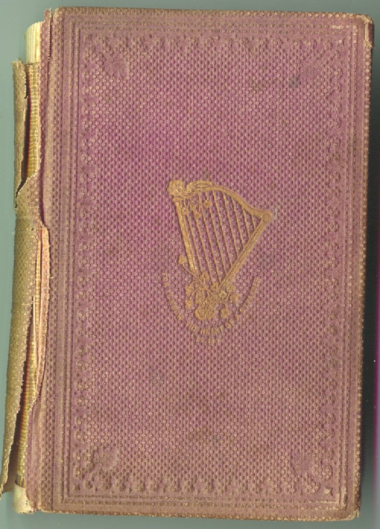Scan of The Transplanted Shamrock; or, The Way to Win an Irish Heart, 1 of 166