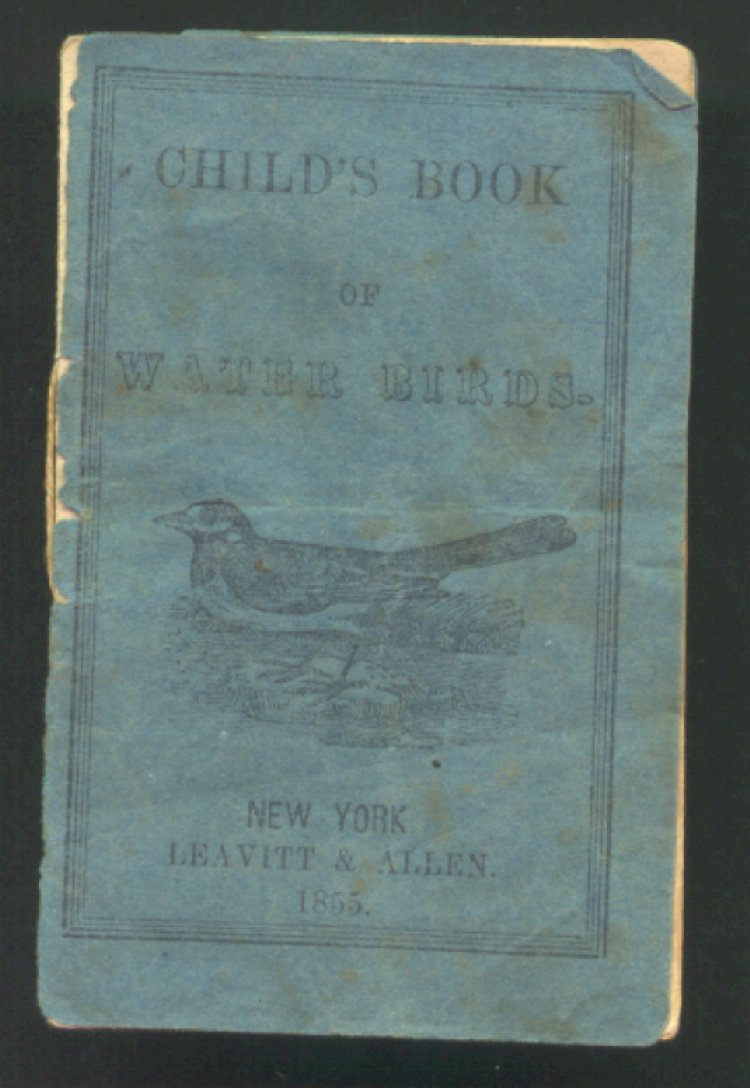 Scan of Child's Book of Water Birds, 1 of 10