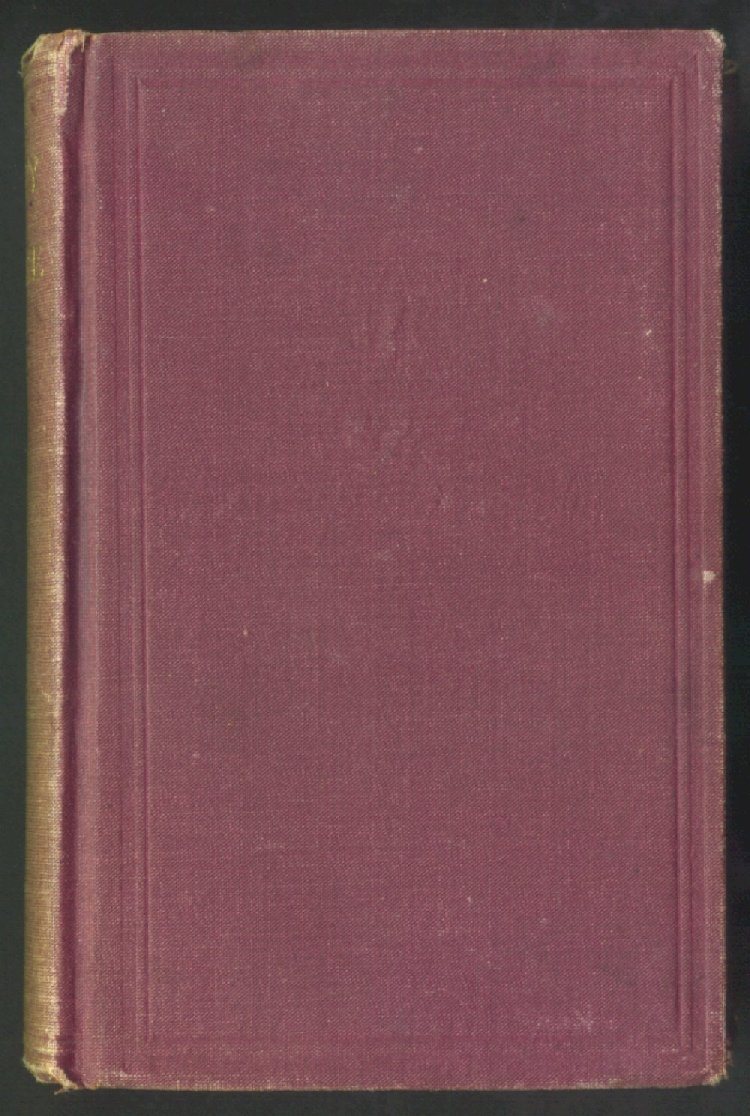 Scan of Willy Burke; or, The Irish Orphan in America, 1 of 282