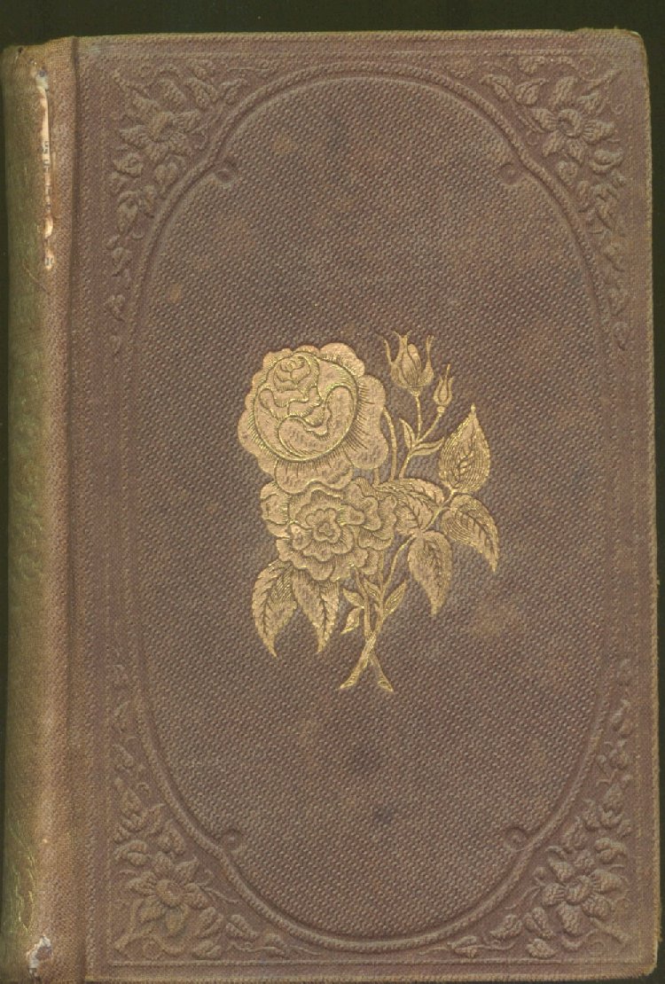 Scan of The Young Woman's Friend, or, The Duties, Trials, Loves and Hopes of Woman, 1 of 254