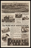 Pure Milk Association