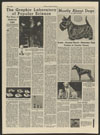 Thumbnail image of Mostly about dogs : a promising nine-month old Doberman pinscher