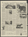 Chicago Tribune : pet column in want ads section