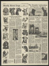 Chicago Tribune : Pets columns in the Want ad section