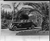 1936 Packard convertible victoria pulling out of drive with palms