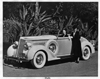 1937 Packard convertible coupe with two women next to tropical foliage