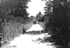 Car driving down a narrow rural road near Union Center, Wis., 1909 Glidden Tour