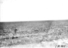 Picture of Iowa prairie, at the 1909 Glidden Tour