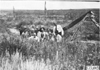 Group photo of Glidden tourists on the Colorado prairie, at 1909 Glidden Tour