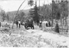 Rapid motor truck on mountain road in Colo., at 1909 Glidden Tour