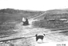 Dog stands in middle of road as Glidden tourists approach near Colorado Springs, Colo., at 1909 Glidden Tour
