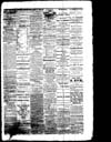 The Owosso Press, 1864-04-16 part 3