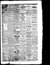 The Owosso Press, 1864-06-11 part 3