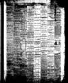 The Owosso Press, 1867-03-13 part 3