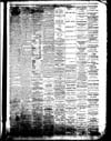 The Owosso Press, 1867-06-19 part 3