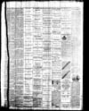 Owosso Weekly Press, 1867-10-16 part 4