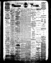 Owosso Weekly Press, 1867-11-06 part 2
