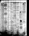 Owosso Weekly Press, 1867-11-20 part 4