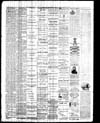 Owosso Weekly Press, 1868-01-29 part 4