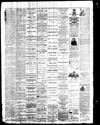 Owosso Weekly Press, 1868-05-13 part 4