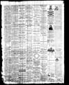 Owosso Weekly Press, 1868-06-17 part 4
