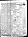 Owosso Weekly Press, 1869-04-07 part 3
