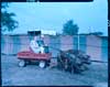 Two men in cart with team of hogs at fair. Color photos