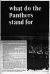 Sample image of What do the Panther's Stand For?