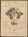 Busch Pale Dry Ginger Ale (Anheuser-Busch)