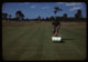 Thumbnail: Mowing after thin cutting #8 G