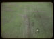 Thumbnail: Close-up Spiking before overseeding #8 G