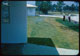 Thumbnail: Estate Bahia sod lawn