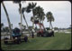 Thumbnail: Palm Tree Trimmer