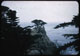 Thumbnail: Monterey Peninsula