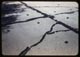 Thumbnail: Knotweed in mudjack pavement holes