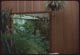 Thumbnail: Office of tropical house plant grower