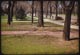 Thumbnail: Thin Turf on shaded lawn