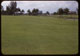 Thumbnail: Results kill St. Aug. reseeded Bermuda